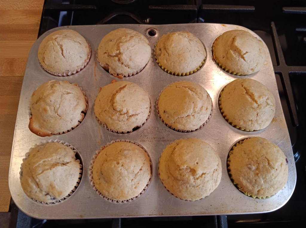 A picture of 12 very pale muffins.